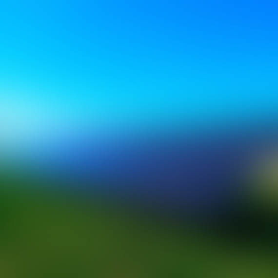 gallery img